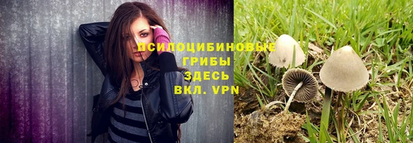 прущая мука Надым