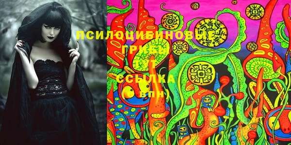 прущая мука Надым