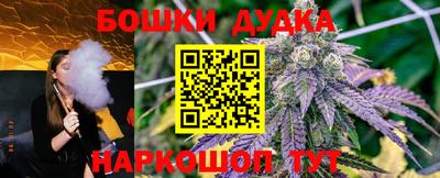 амф Гай