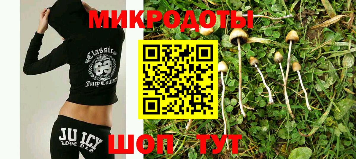 Псилоцибиновые грибы Psilocybine cubensis  Вход с VPN  Калуга 